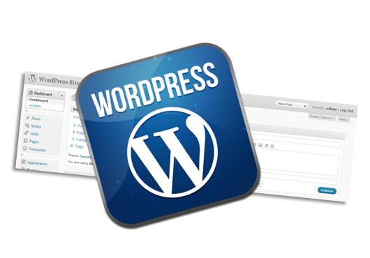 wordpress web site design